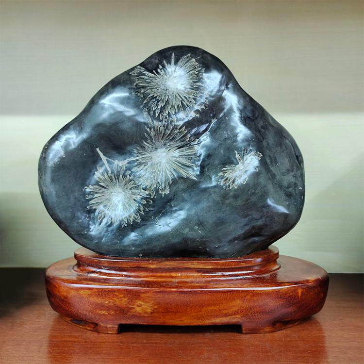 浏阳天然菊花石桌面原石摆件观赏石靠山石办公室家居装饰商务礼品
