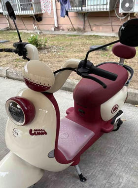 爱玛露娜W303WB30电动车外壳前围前泥板尾灯边条侧板大灯原厂配件