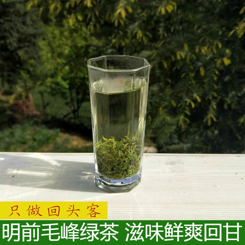 遵义毛峰贵州茶叶绿茶茶农直销