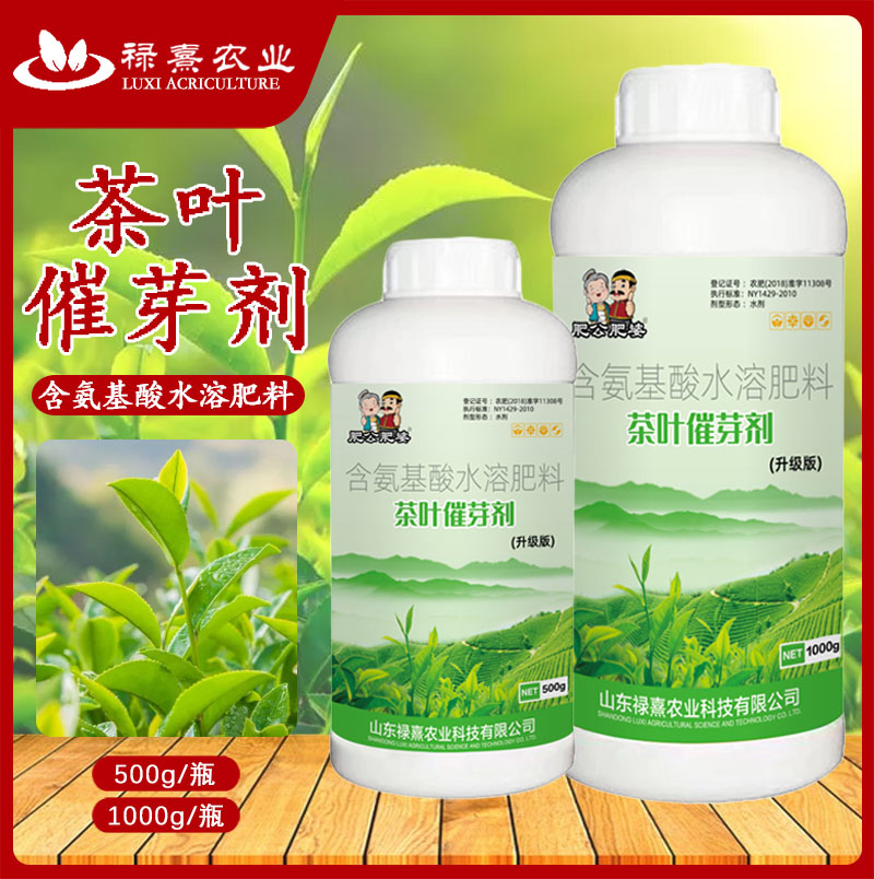 肥公肥婆茶叶催芽剂茶叶催芽芽齐出芽快叶片增厚提高品质科技