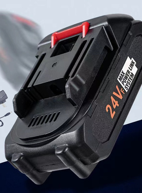 24VF无线洗车机锂电池48VF高压水枪大药徕本车载洗车神器充电器