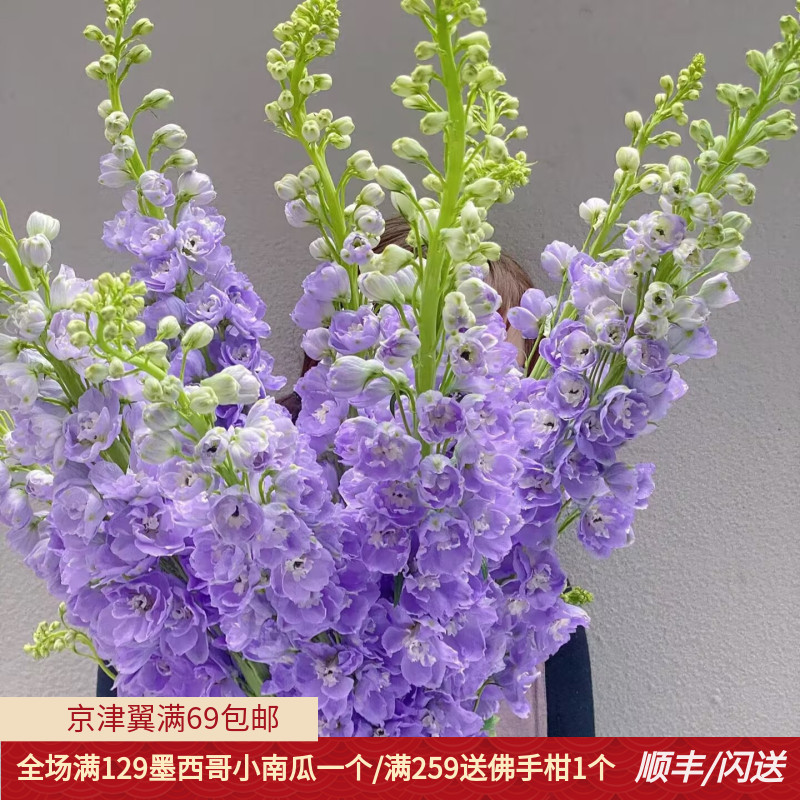 新鲜花卉浅蓝色美感婚礼鲜切花