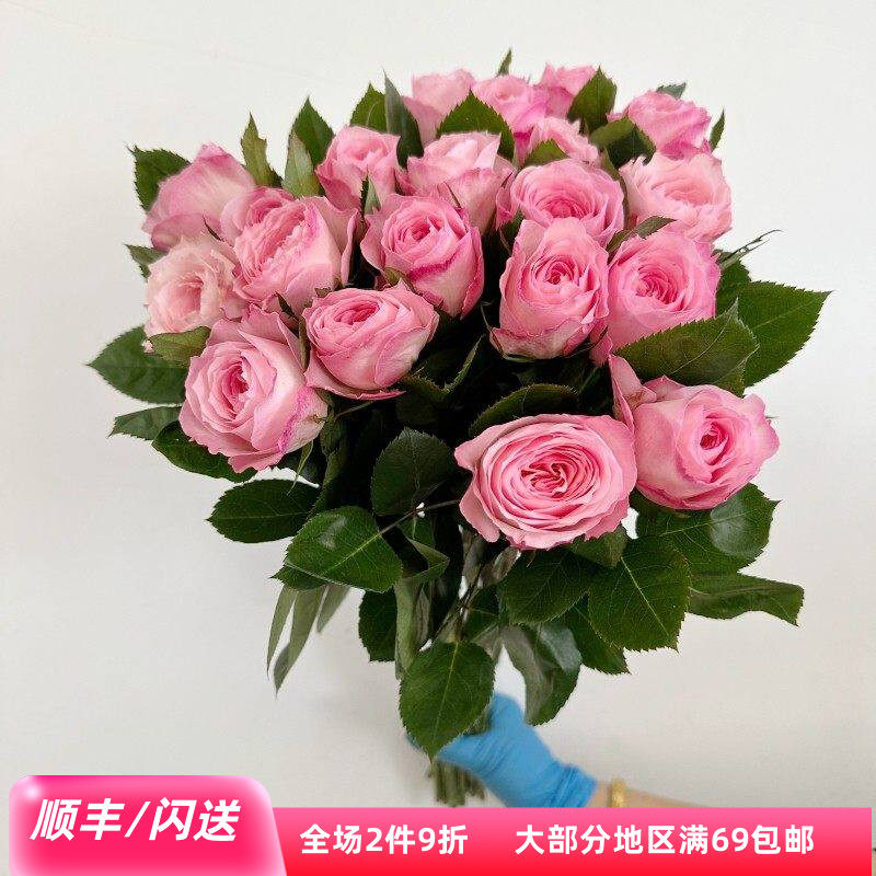 19朵梅拉玫瑰进口鲜花大朵淡香