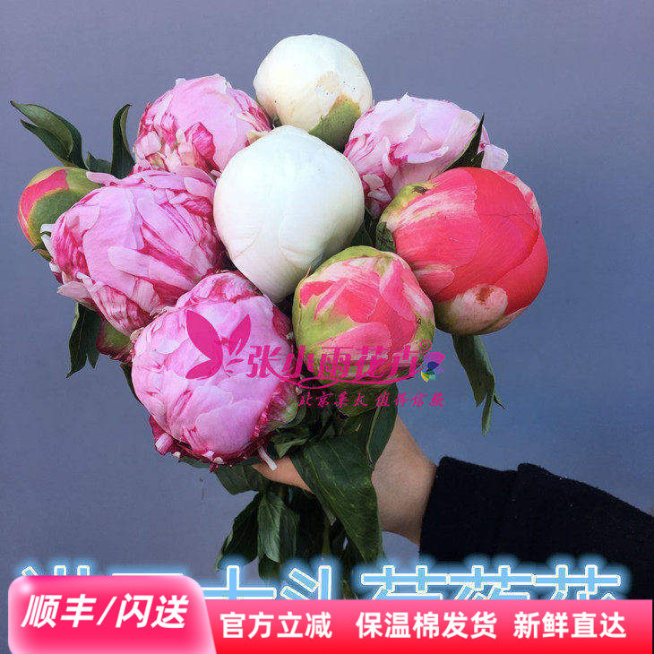 进口芍药鲜切花多色重瓣芍药千层大花头含苞待放家用水瓶插花速递,鲜花速递/花卉仿真/绿植园艺,花材,淘宝优惠券,粉丝福利购,淘宝优惠卷
