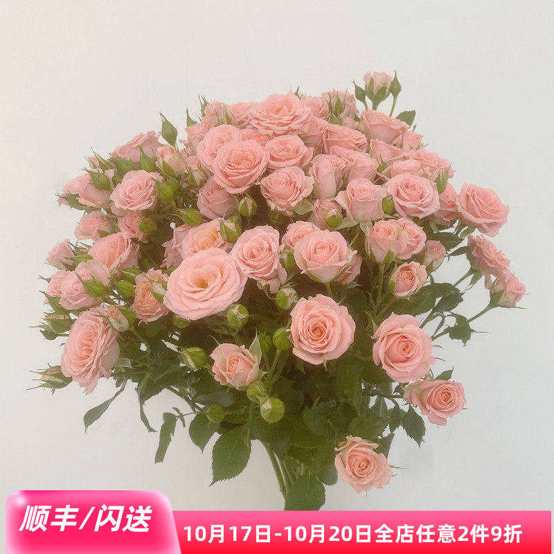 北京直达露露蔷薇鲜切花10枝