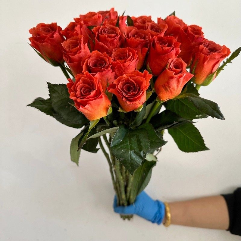 新品杏仁酒玫瑰鲜切花北京速递