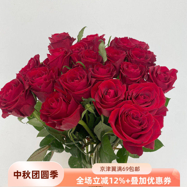 A级传奇玫瑰暗红褶花边鲜切花