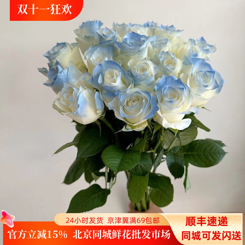 碎冰蓝玫瑰清新柔美鲜切花染色