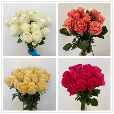 B级新鲜玫瑰花性价比高花市直发