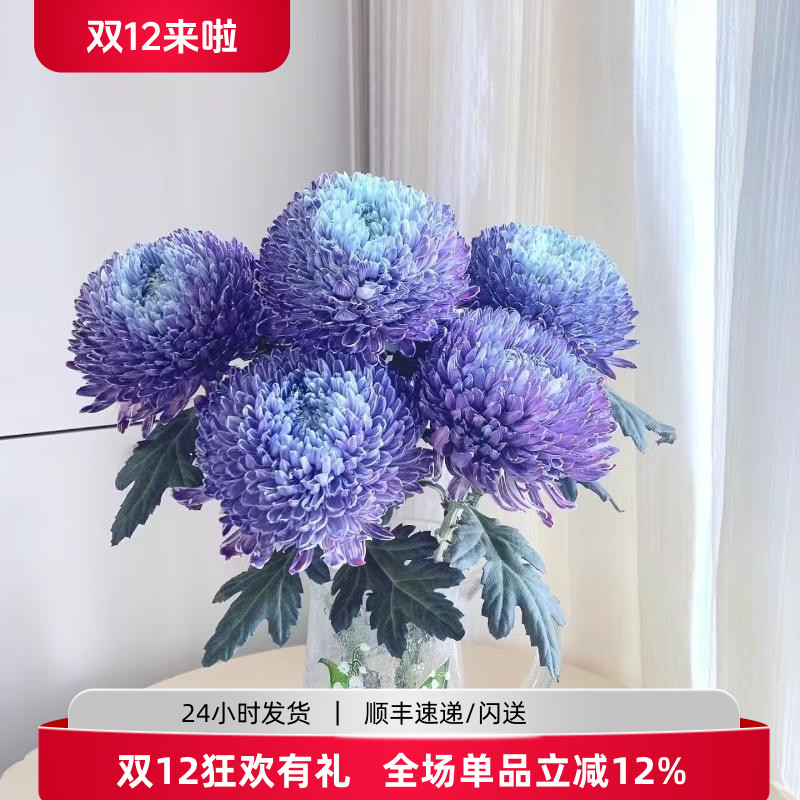 新鲜牡丹菊鲜切花佛台插花速递