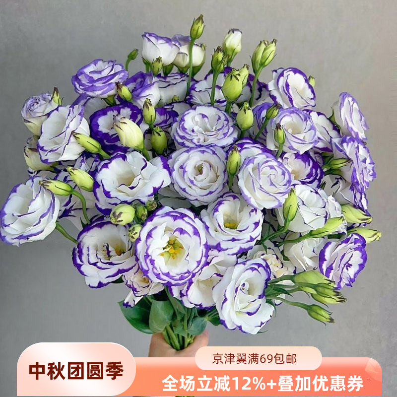 多色洋桔梗10枝龙胆鲜切花插花