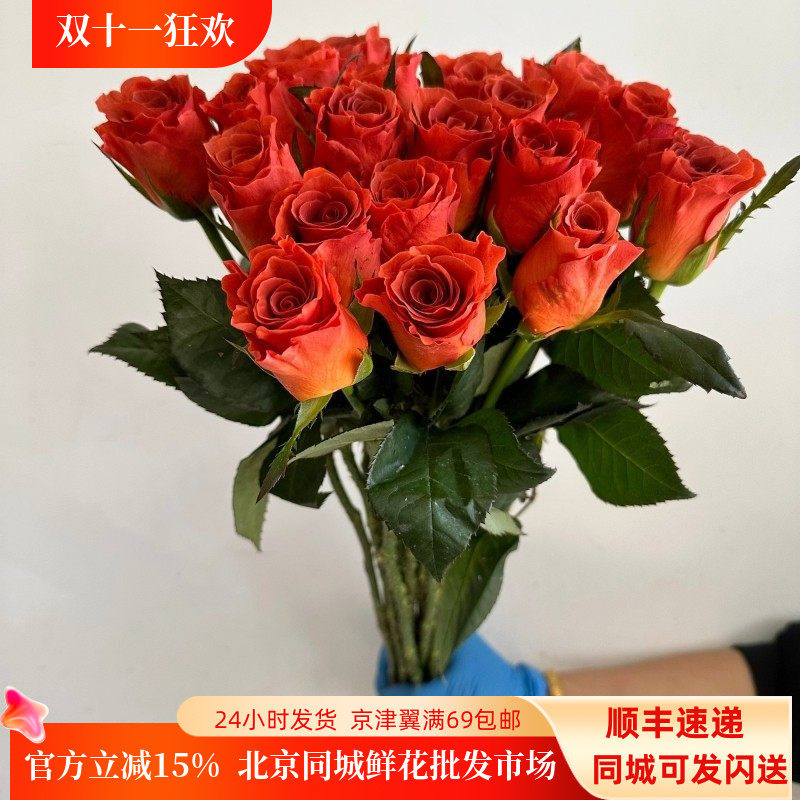 新品杏仁酒玫瑰鲜切花北京速递