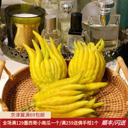 佛手柑鲜果室内香薰礼佛贡品