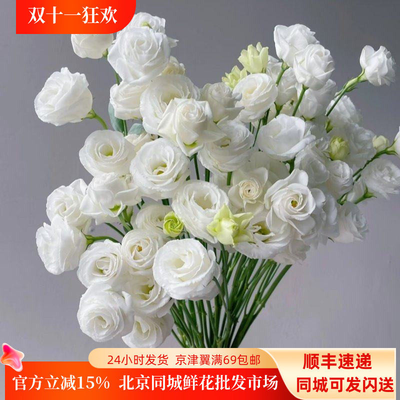 洁白洋桔梗10枝龙胆鲜切花家用