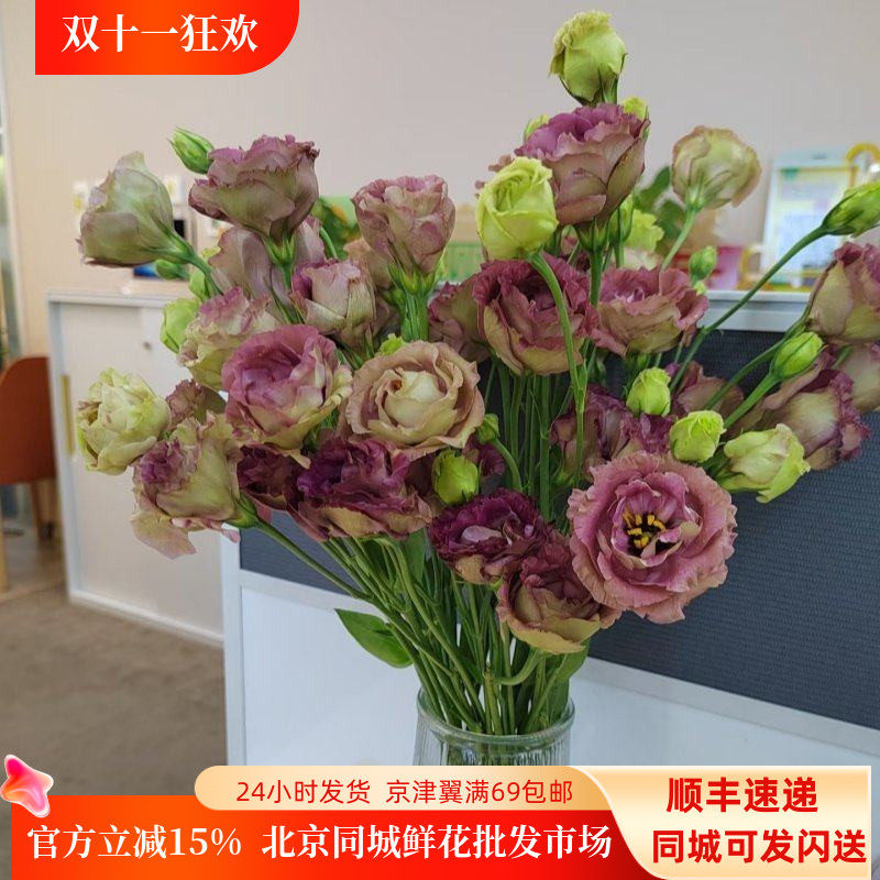 茶色龙胆鲜花新鲜洋桔梗10枝