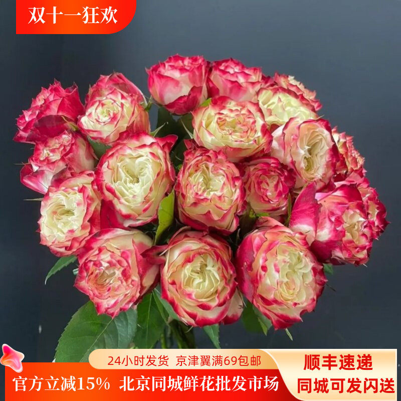 苹果杰克玫瑰鲜切花北京速递