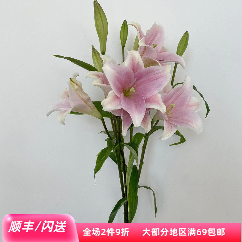 粉炮百合淡雅客厅水瓶插花10枝