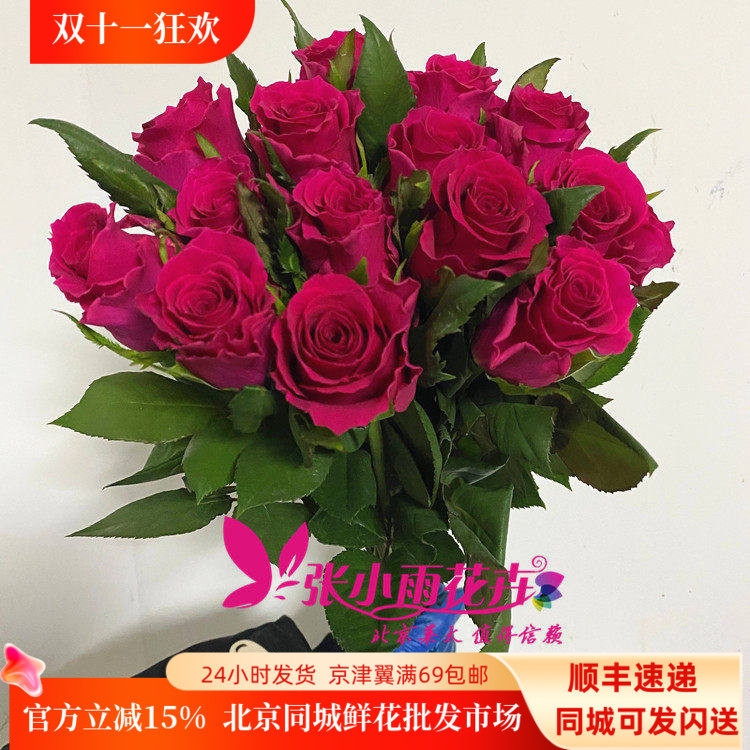 玫红玫瑰绽放10枝家用鲜花瓶插花