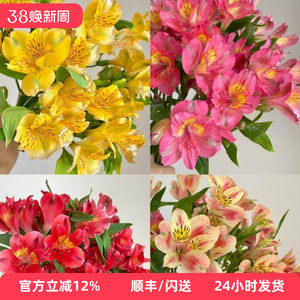 进口鲜花粉色六出花水仙百合年宵花 赏心悦目 家庭DIY花艺插花