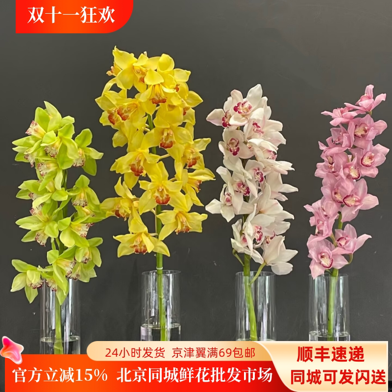 荷兰进口大花蕙兰鲜切花婚礼用