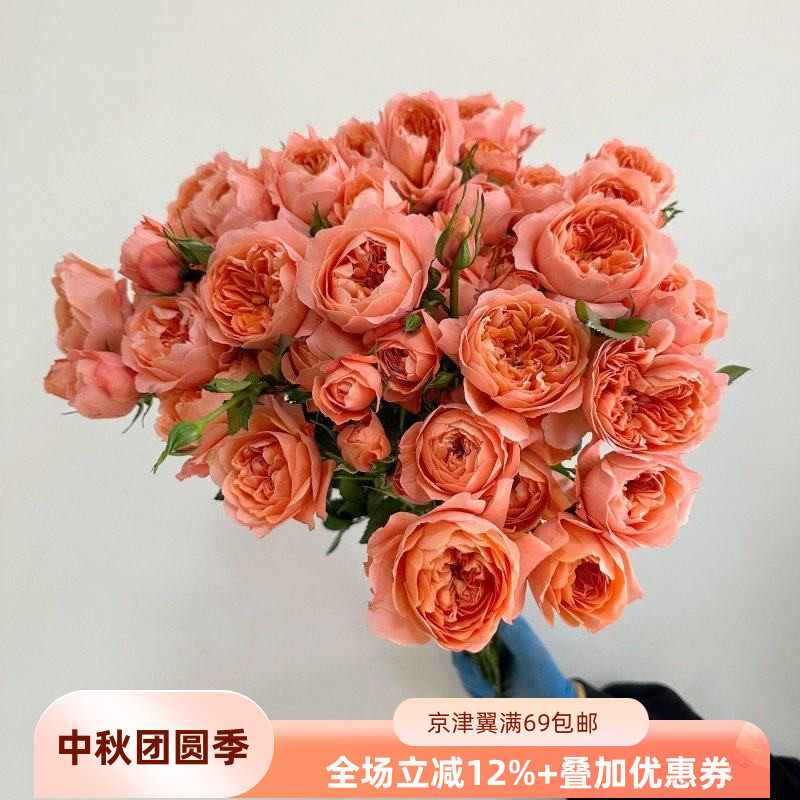 8枝装杏色果汁水瓶插花重瓣花朵