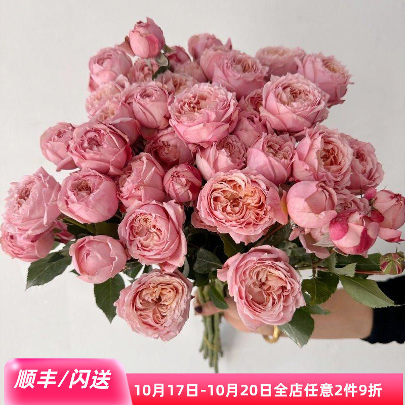 朱丽叶塔鲜花速递多头玫瑰家用