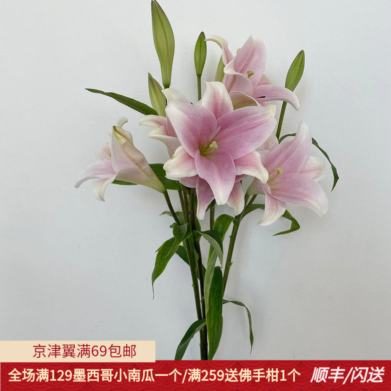 粉炮百合淡雅客厅水瓶插花10枝