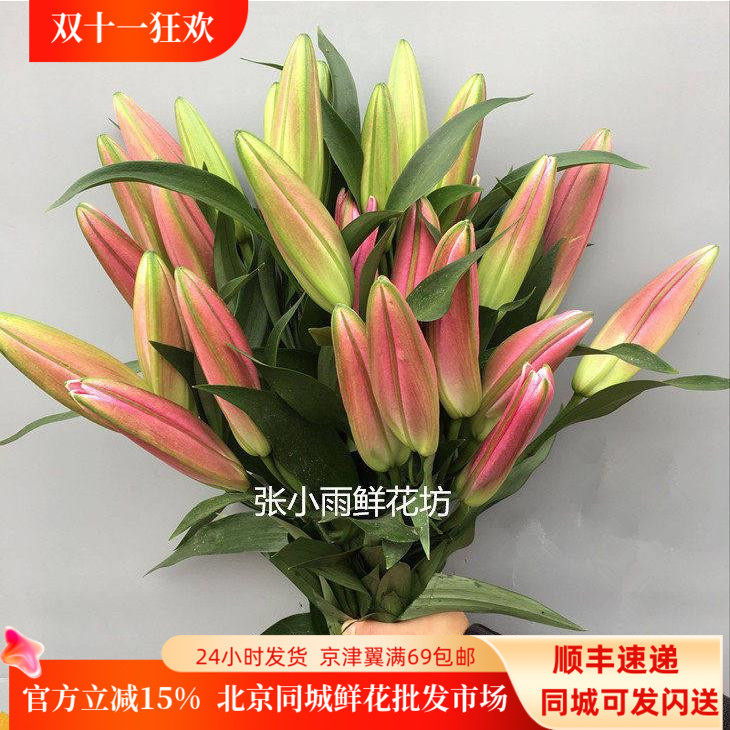罗宾娜红百合含苞10枝北京速递