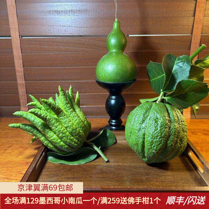精品佛手柑香橼葫芦全福组合