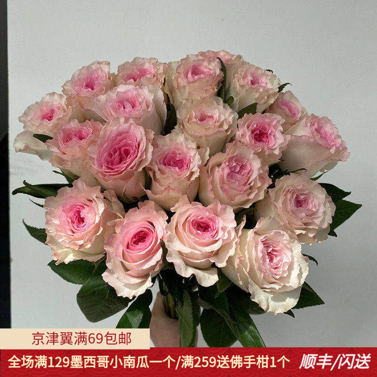 北京A级洛神玫瑰鲜花速递插花