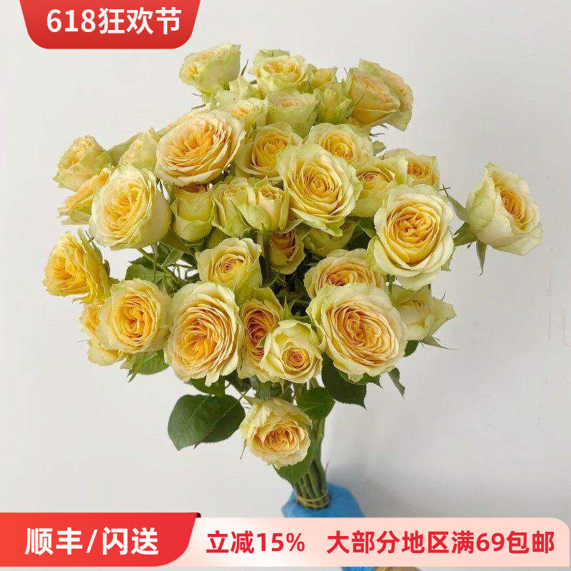 多头小玫瑰 牛油果蔷薇鲜切花 一扎10枝多瓣花朵绽放北京鲜花速递