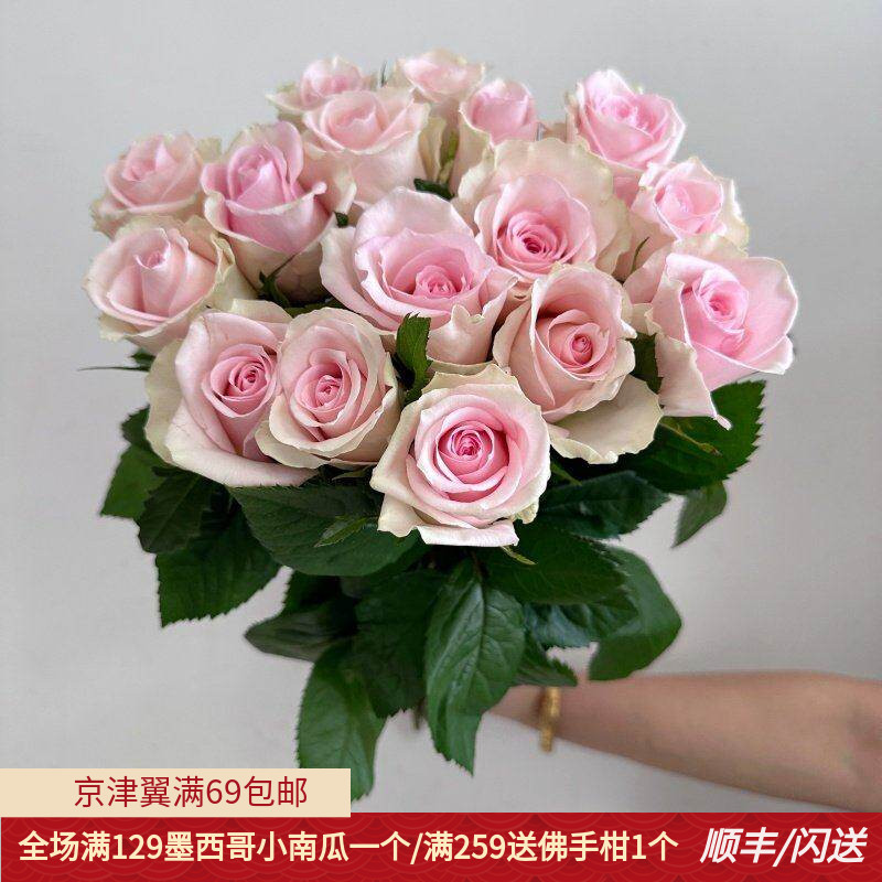 10朵火奴鲁手捧花淡粉色鲜切花