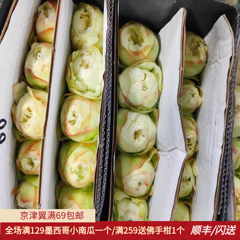 夏雨荷玫瑰水插花同城速递