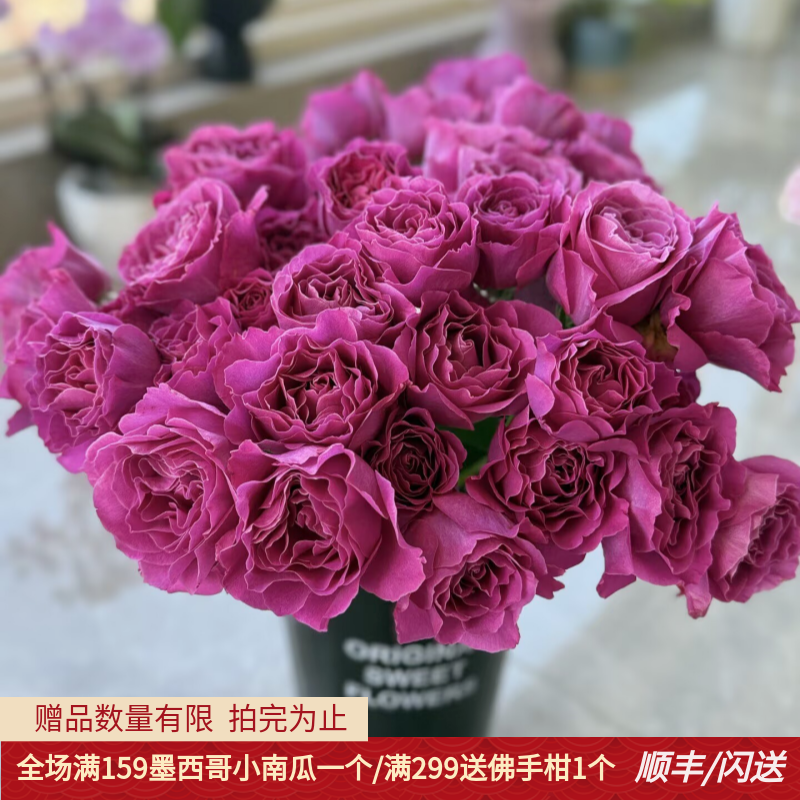 多头玫瑰鲜切花10枝顺丰闪送