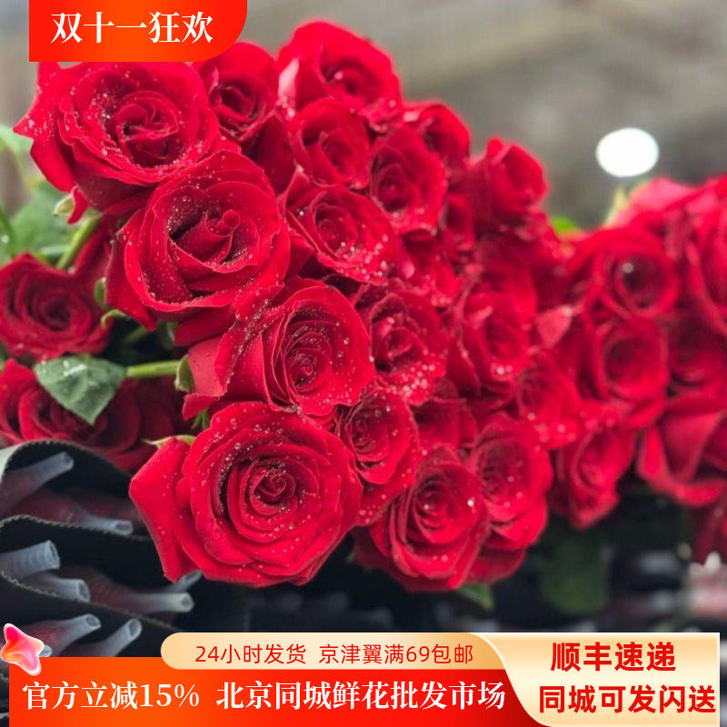 卡罗拉红玫瑰鲜切花大红色速递