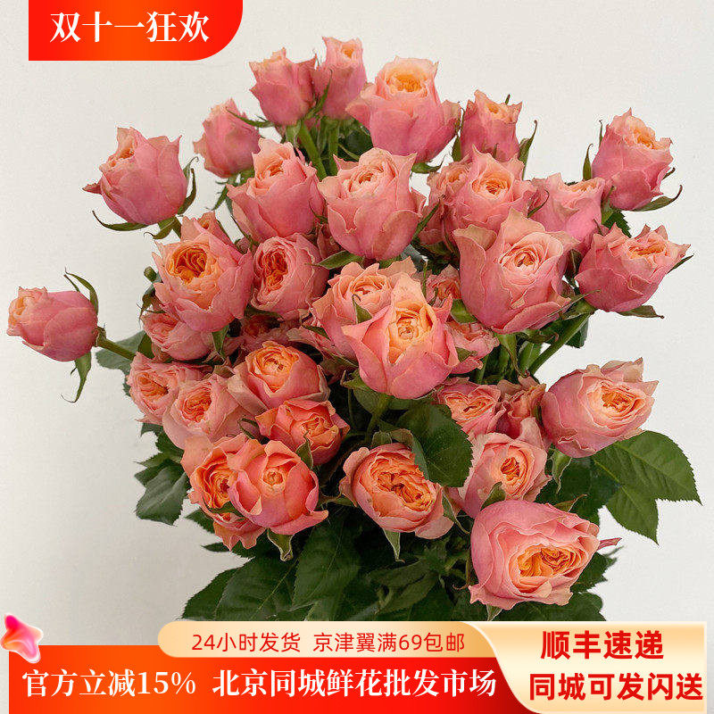 北京直送粉色蝴蝶玫瑰鲜切花10枝