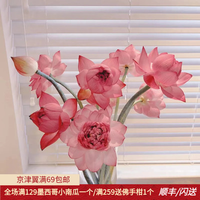 粉色荷花鲜切花莲花莲蓬莲子可食
