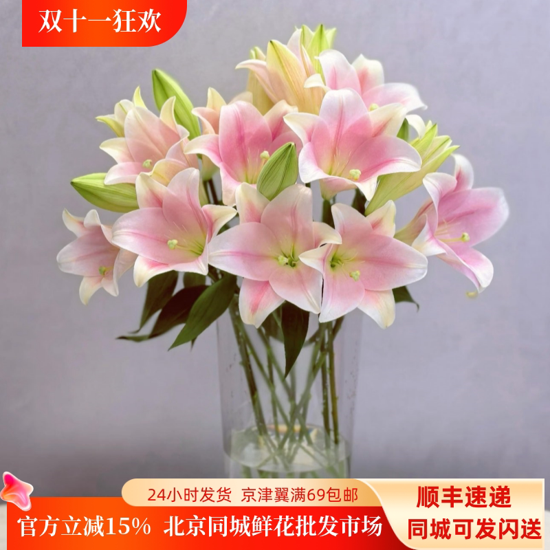 粉铁炮百合淡雅10枝北京速递