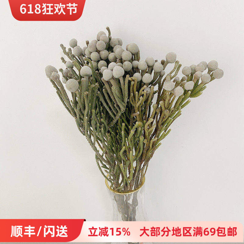10枝珊瑚果手捧花配花干花花期长