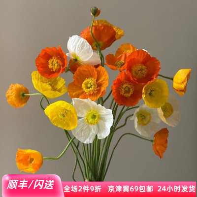 虞美人家庭插花女神节10朵