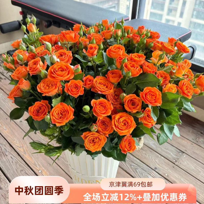 新品多头玫瑰鲜切花北京直送10枝