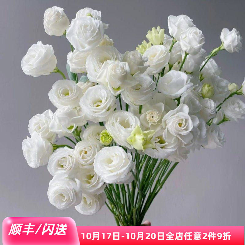 洁白洋桔梗10枝龙胆鲜切花家用