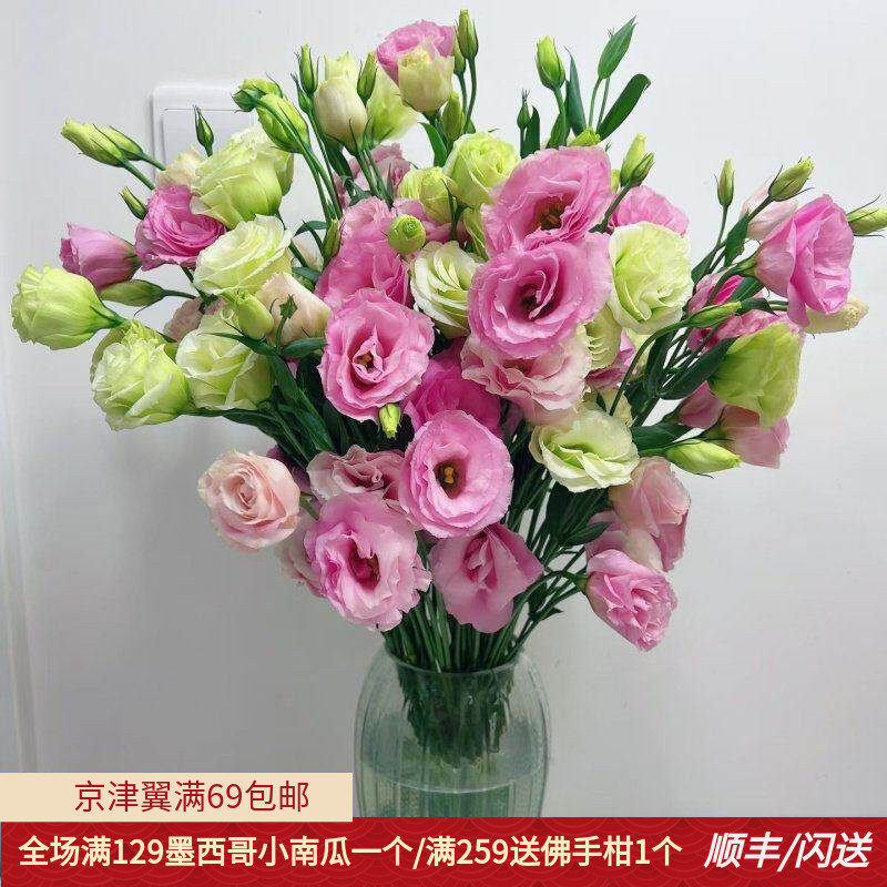 粉色洋桔梗鲜切花10枝家用瓶插花