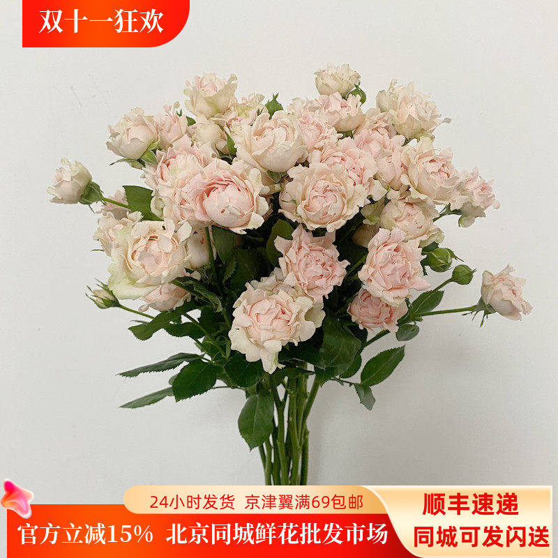 8枝苏芬家用水养鲜花闺蜜礼物