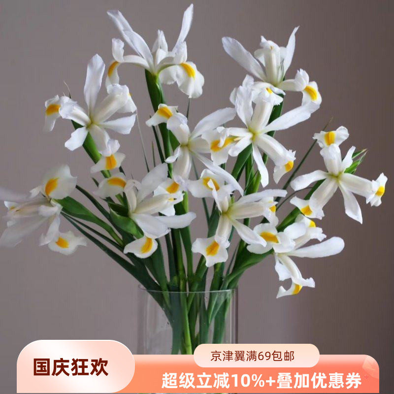 进口白色鸢尾花家庭DIY插花