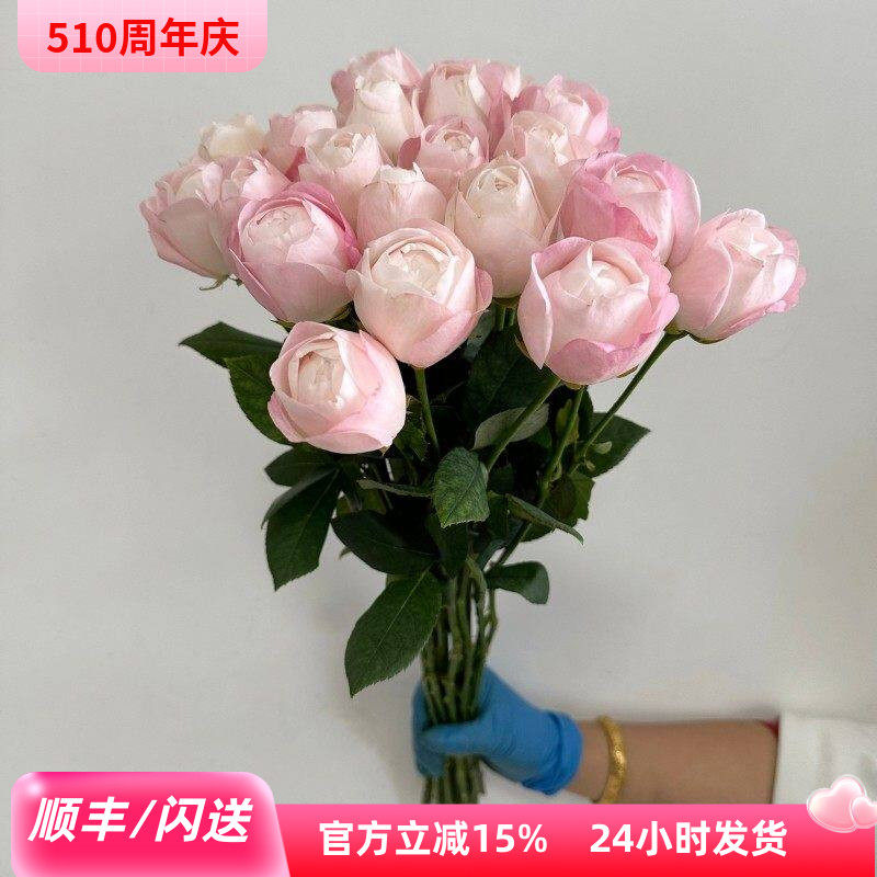 草莓杏仁饼玫瑰 精致淡雅色系 鲜切花大全多品玫瑰花北京鲜花直达