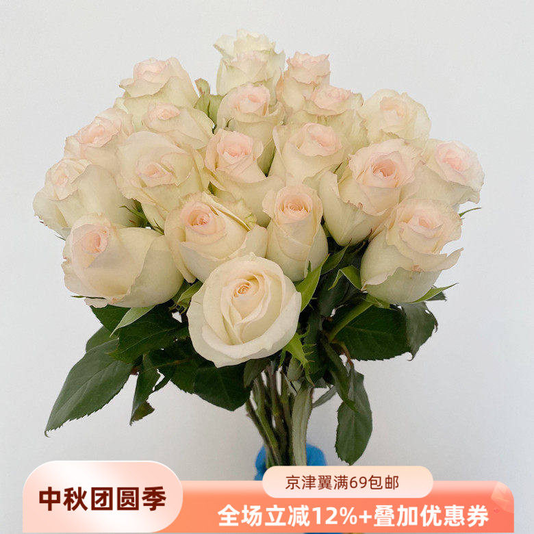 清新玫瑰花淡雅19朵小白兔水插花
