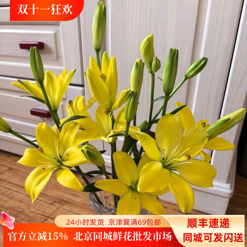 轻奢黄色亚百百合鲜花长花期