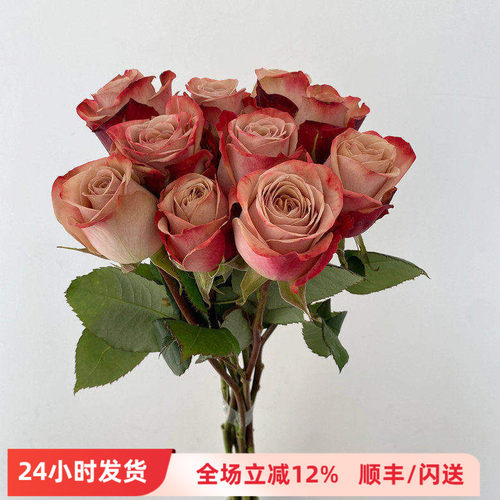 复古系20朵卡布奇诺玫瑰花婚礼