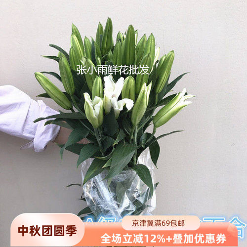 恋咔A级香水百合鲜切花同城速递
